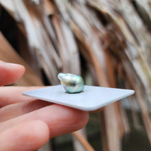 Load image into Gallery viewer, Civa Fiji Loose Saltwater Pearl - FJD$
