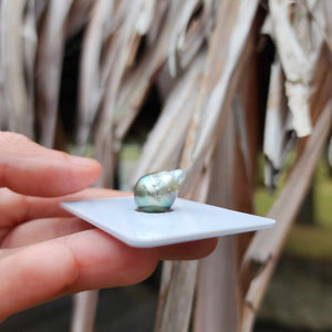 Civa Fiji Loose Saltwater Pearl - FJD$