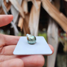 Load image into Gallery viewer, Civa Fiji Loose Saltwater Pearl - FJD$
