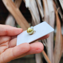 Load image into Gallery viewer, Civa Fiji Loose Saltwater Pearl - FJD$
