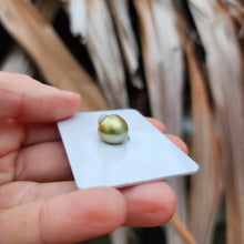 Load image into Gallery viewer, Civa Fiji Loose Saltwater Pearl - FJD$
