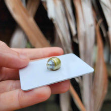 Load image into Gallery viewer, Civa Fiji Loose Saltwater Pearl - FJD$
