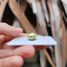 Load image into Gallery viewer, Civa Fiji Loose Saltwater Pearl - FJD$
