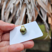 Load image into Gallery viewer, Civa Fiji Loose Saltwater Pearl - FJD$
