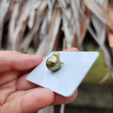 Load image into Gallery viewer, Civa Fiji Loose Saltwater Pearl - FJD$
