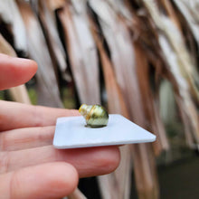Load image into Gallery viewer, Civa Fiji Loose Saltwater Pearl - FJD$
