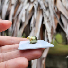 Load image into Gallery viewer, Civa Fiji Loose Saltwater Pearl - FJD$
