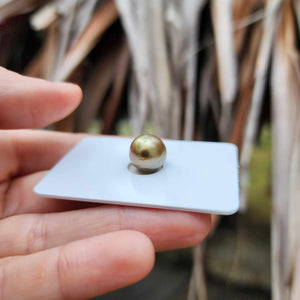 Civa Fiji Loose Saltwater Pearl - FJD$