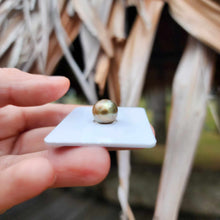 Load image into Gallery viewer, Civa Fiji Loose Saltwater Pearl - FJD$
