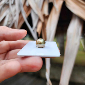 Civa Fiji Loose Saltwater Pearl - FJD$
