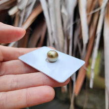Load image into Gallery viewer, Civa Fiji Loose Saltwater Pearl - FJD$
