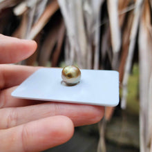 Load image into Gallery viewer, Civa Fiji Loose Saltwater Pearl - FJD$
