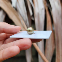 Load image into Gallery viewer, Civa Fiji Loose Saltwater Pearl - FJD$
