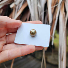 Load image into Gallery viewer, Civa Fiji Loose Saltwater Pearl - FJD$
