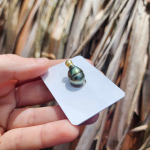Civa Fiji Loose Saltwater Pearl - FJD$