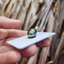 Load image into Gallery viewer, Civa Fiji Loose Saltwater Pearl - FJD$
