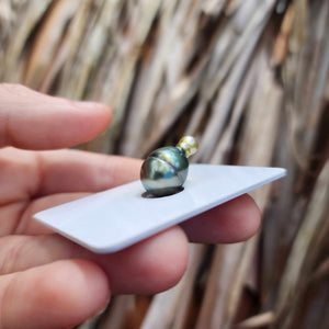 Civa Fiji Loose Saltwater Pearl - FJD$