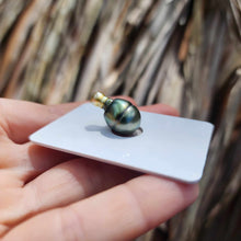 Load image into Gallery viewer, Civa Fiji Loose Saltwater Pearl - FJD$
