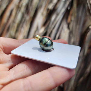 Civa Fiji Loose Saltwater Pearl - FJD$