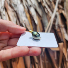 Load image into Gallery viewer, Civa Fiji Loose Saltwater Pearl - FJD$
