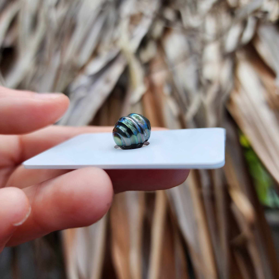 Civa Fiji Loose Saltwater Pearl - FJD$