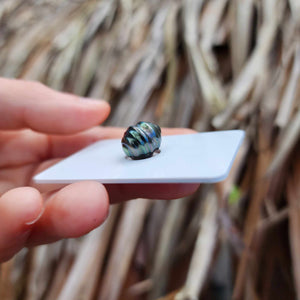 Civa Fiji Loose Saltwater Pearl - FJD$