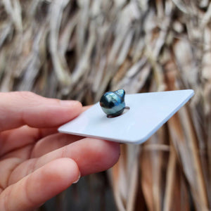 Civa Fiji Loose Saltwater Pearl - FJD$