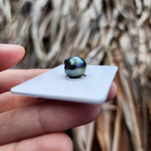 Load image into Gallery viewer, Civa Fiji Loose Saltwater Pearl - FJD$
