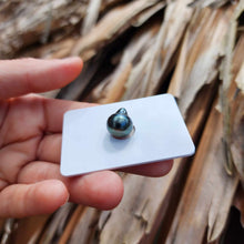 Load image into Gallery viewer, Civa Fiji Loose Saltwater Pearl - FJD$
