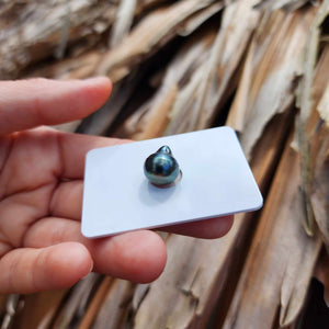 Civa Fiji Loose Saltwater Pearl - FJD$