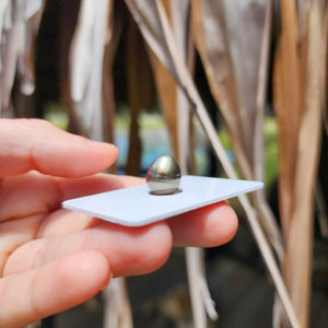 Civa Fiji Loose Saltwater Pearl - FJD$