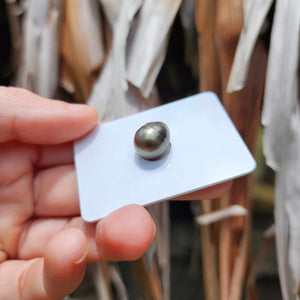 Civa Fiji Loose Saltwater Pearl - FJD$