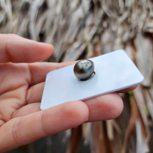 Civa Fiji Loose Saltwater Pearl - FJD$
