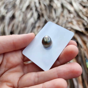 Civa Fiji Loose Saltwater Pearl - FJD$