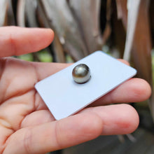 Load image into Gallery viewer, Civa Fiji Loose Saltwater Pearl - FJD$
