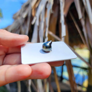 Civa Fiji Loose Saltwater Pearl - FJD$