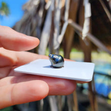 Load image into Gallery viewer, Civa Fiji Loose Saltwater Pearl - FJD$
