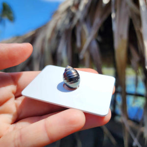 Civa Fiji Loose Saltwater Pearl - FJD$