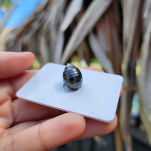 Civa Fiji Loose Saltwater Pearl - FJD$