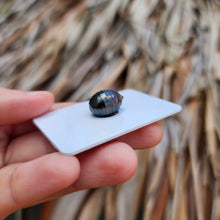 Load image into Gallery viewer, Civa Fiji Loose Saltwater Pearl - FJD$
