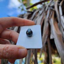 Load image into Gallery viewer, Civa Fiji Loose Saltwater Pearl - FJD$
