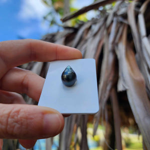 Civa Fiji Loose Saltwater Pearl - FJD$