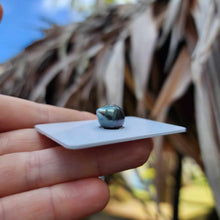 Load image into Gallery viewer, Civa Fiji Loose Saltwater Pearl - FJD$

