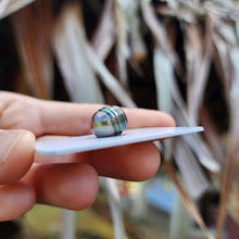 Load image into Gallery viewer, Civa Fiji Loose Saltwater Pearl - FJD$
