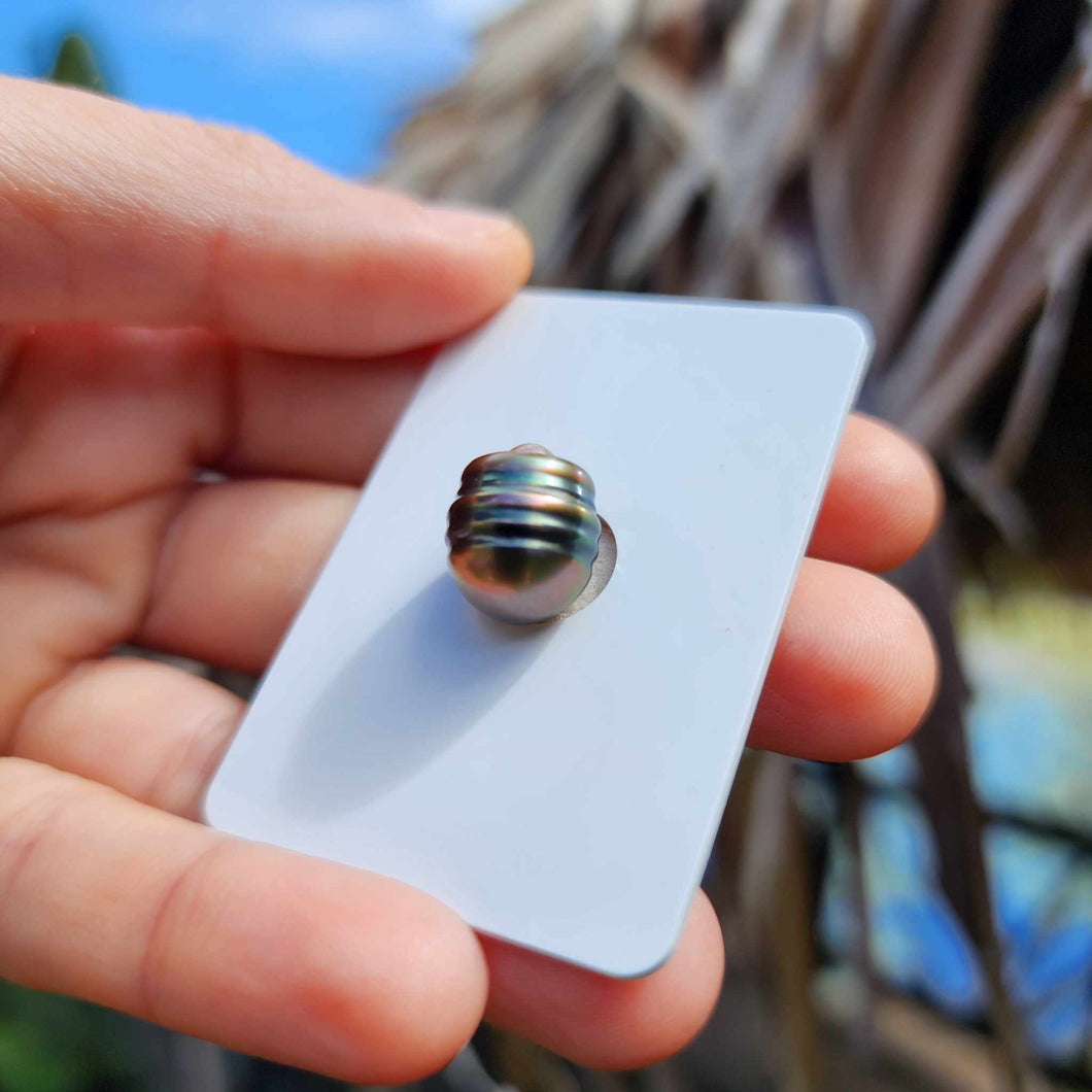 Civa Fiji Loose Saltwater Pearl - FJD$