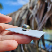 Load image into Gallery viewer, Civa Fiji Loose Saltwater Pearl - FJD$
