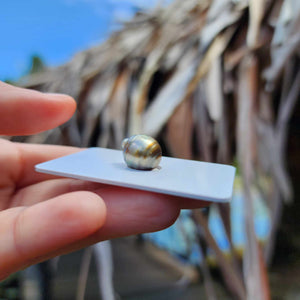 Civa Fiji Loose Saltwater Pearl - FJD$
