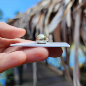 Civa Fiji Loose Saltwater Pearl - FJD$