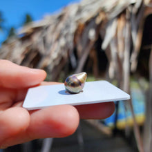 Load image into Gallery viewer, Civa Fiji Loose Saltwater Pearl - FJD$
