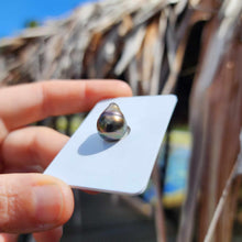 Load image into Gallery viewer, Civa Fiji Loose Saltwater Pearl - FJD$
